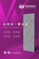NEW | 岩板800x2600x9mm〖耀▪“颜”〗系列，一起“耀”见未来