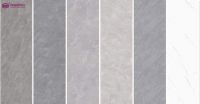 NEW | 岩板800x2600x9mm〖耀▪“颜”〗系列，一起“耀”见未来