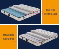 丽曼俪：积跬步至千里，锲而不舍镂金石