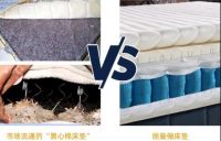 丽曼俪：积跬步至千里，锲而不舍镂金石