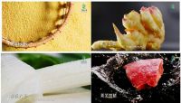 泉水人家登陆央视 济南市农产品区域公用品牌影响力再提升