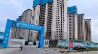 大显身手丨当领盛实测机器人遇上阳光城