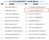 晨阳水漆荣膺“2021年河北省战略性新兴产业创新企业百强”