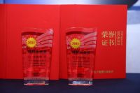 荣膺AVF科技创新奖，TCL Mini LED战略全面绽放