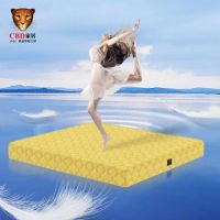 CBD家居携手品牌推荐官王耀庆：演绎强强联合的品质之选