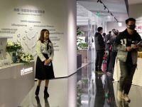 第十九届北京秋冬国际别墅设计展|尚层北京V8分公司天工大厦分会场展盛大开幕