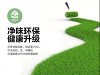 阿尔贝娜创新升级尊享铂家墙面漆，全方位守护你的居家生活