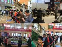 核爆快销买房送装修，助力房企跨越营销寒冬