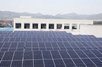 斥资百万！十大品牌科恩集成灶启动光伏项目，助力行业绿色发展