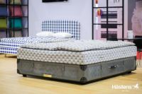 百年纯血品牌海丝腾首次亮相进博会  携全球床王吸睛登场