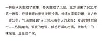 【爱漫时】爱漫时睡眠窗帘「燃情舞曲」冬日的一抹暖阳温暖整个家