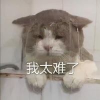 再见了传统榻榻米，这才叫小户型多功能儿童房，爸妈看了想照搬