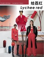 传统色彩，东方哲学 |江南艾仕发布2021秋冬五大流行色
