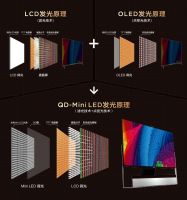 多年布局终有回报！TCL QD-Mini LED将成未来行业风向标