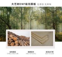 新国标ENF重磅登场，大艺树为无醛家居环境保驾护航