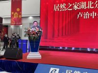 瞩目居然 震撼江城 居然之家武汉白沙洲家居生活MALL开业庆典盛大启幕
