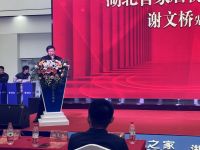 瞩目居然 震撼江城 居然之家武汉白沙洲家居生活MALL开业庆典盛大启幕