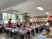 雷士照明再获殊荣，大力践行社会责任和商标保护