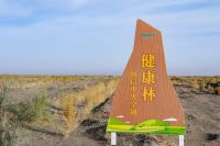 再摘“南山奖”，又获“卓越贡献奖”，国货正当时