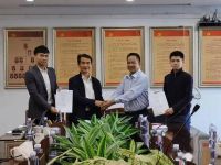 年度盘点：瓷砖品牌加速“内卷”，打造产品IP正当时