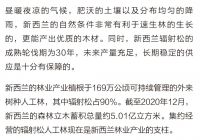 走近新西兰林业(第一集)