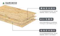 伟业牌五极OSB板，2021年板材行业黑马