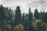 Ecoer 全方位空净｜居家自然生态