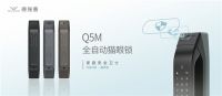 又是一年双十二，这次智能锁就选超值的德施曼3D人脸智能锁系列