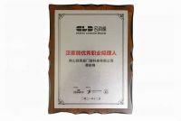 佛山路思曼门窗科技有限公司品牌总监黄俊棉荣获“泛家居优秀职业经理人”殊荣