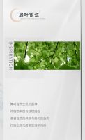 【领绣】新品发布《迷雾森林》——展叶银弦，我心悠然