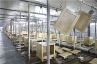 2021消费者信赖定制家居30强 | 七彩人生又获权威认可