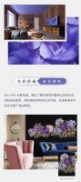【领绣】2022年度流行色出炉，自带仙气的长春花蓝！