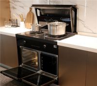 大国品牌帅丰集成灶2021年度爆款产品盘点