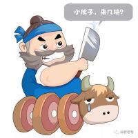 一生做好一件事 小叶紫檀守艺人