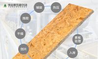 伟业牌五极OSB：张张用心，使用更放心