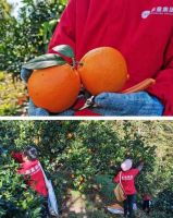 东星无机水磨石 广州设计周 | 与地球同呼吸，用创新与责任淬炼品牌生命力！