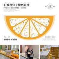 东星无机水磨石 广州设计周 | 与地球同呼吸，用创新与责任淬炼品牌生命力！