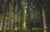 喜讯丨千年舟再获大众认可，成为消费者信赖辅材品牌