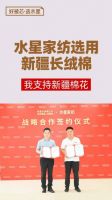 深度融入国内国外双循环，谱写水星家纺发展新篇章