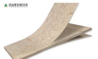 选购OSB，为什么90%业主都信赖伟业牌五极OSB