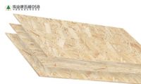 伟业牌五极OSB——坚持做真正优质OSB