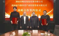 晚安家居携手康乃馨战略布局万亿银发产业