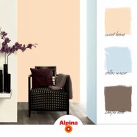 聚焦宅家生活，阿尔贝娜成为女性喜爱的涂料品牌