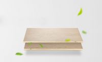 兔宝宝健康家具板——涂装家具板，匠心品质，为家定制每一个性能细节！
