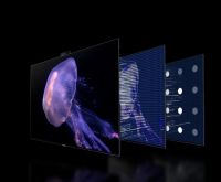 2022 CES索尼加入Mini LED阵营！提前布局的TCL成最大赢家