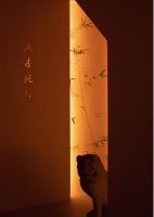 设计 IP 访谈 | 李海虹：见素抱朴，返璞归真