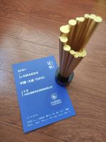 设计师王莹荣获G+AWARDS全球设计精英大赛奖「Talk设计」