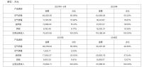视线 | 空气炸锅的胜利 比依电器IPO成功闯关