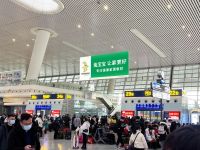 兔宝宝高铁广告强势登陆，品牌高速传播势不可挡！