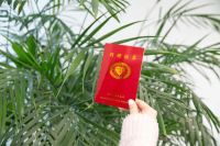 好好住携手猫盟，保护华北豹家园